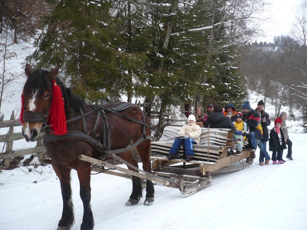 Вилла Casa Bunicii Din Bucovina Вама Номер фото