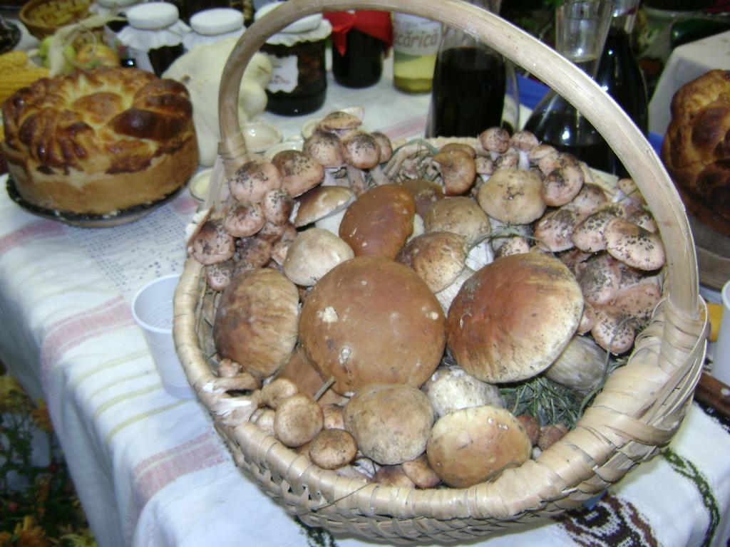Вилла Casa Bunicii Din Bucovina Вама Номер фото